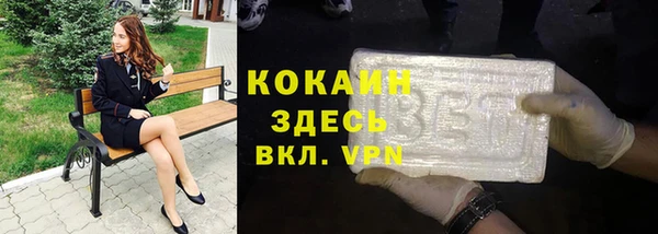 индика Аркадак