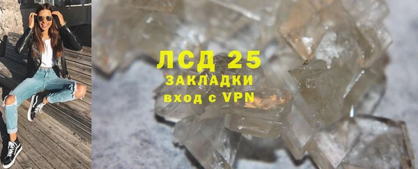 индика Аркадак