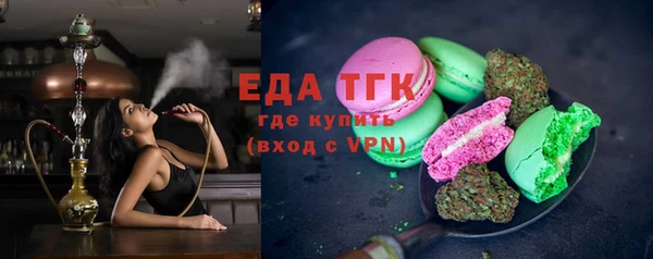 индика Аркадак