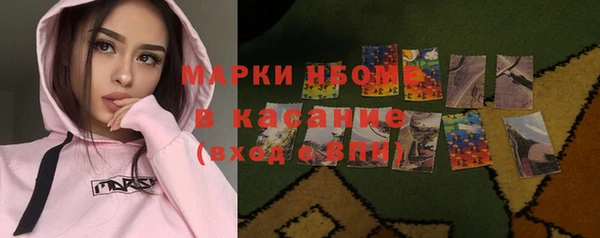 индика Аркадак