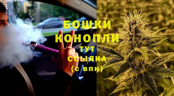 индика Аркадак