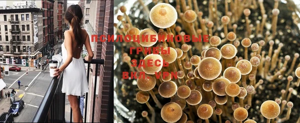 Альфа ПВП Арсеньев