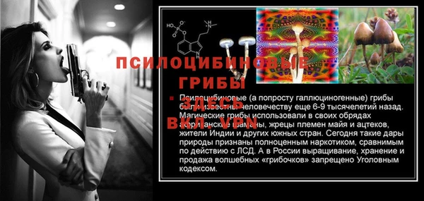Альфа ПВП Арсеньев