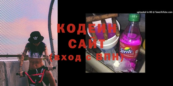 спиды Рославль