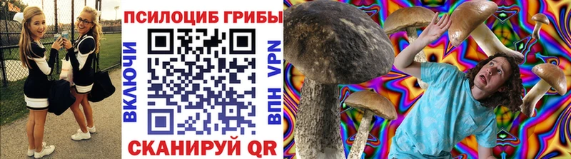 Псилоцибиновые грибы Psilocybe  Николаевск-на-Амуре 